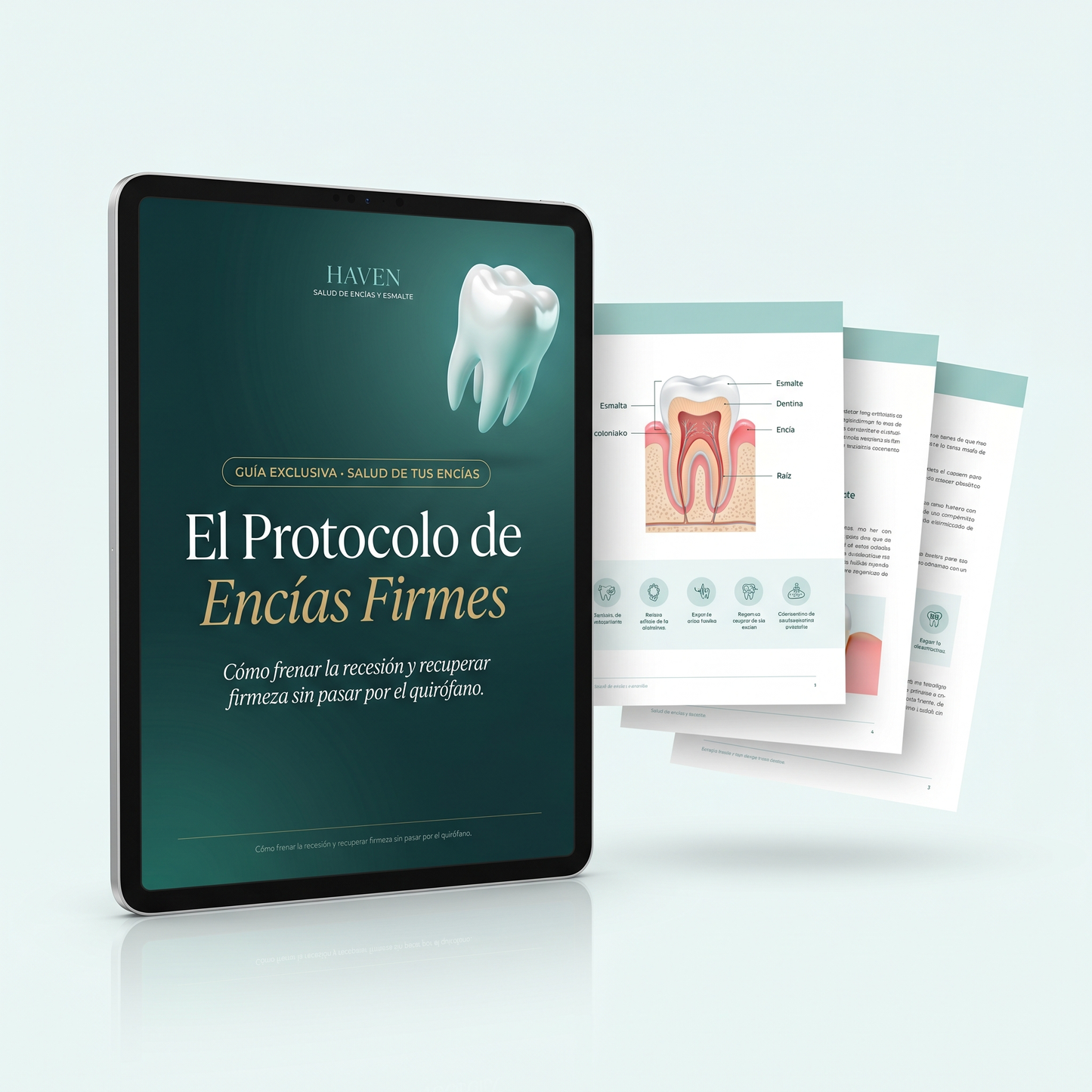El Protocolo de Encías Firmes