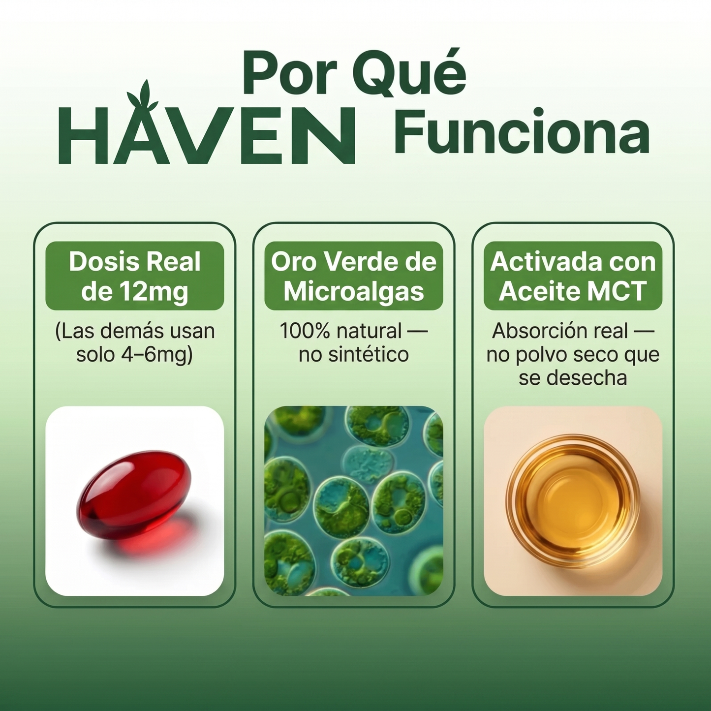 Antioxidante de Máxima Absorción para tu Piel, Visión y Energía