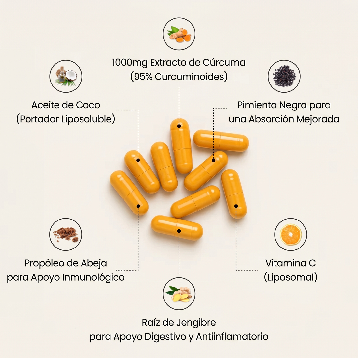 Curcuma