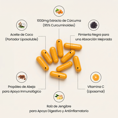 Curcuma